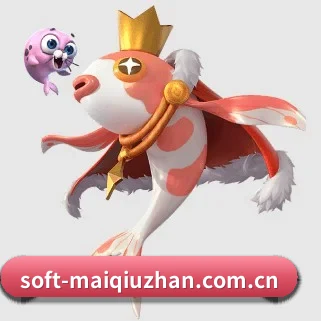 持续创新
